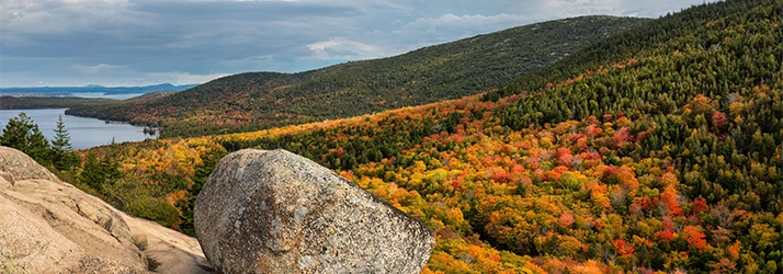 SA – Maine Advanced Spinal Care in Wells ME